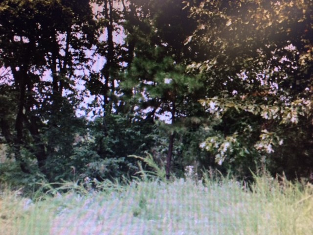 9.47 acres of property on Dream Valley road just off Prairie Creek Drive / Hwy 12.
