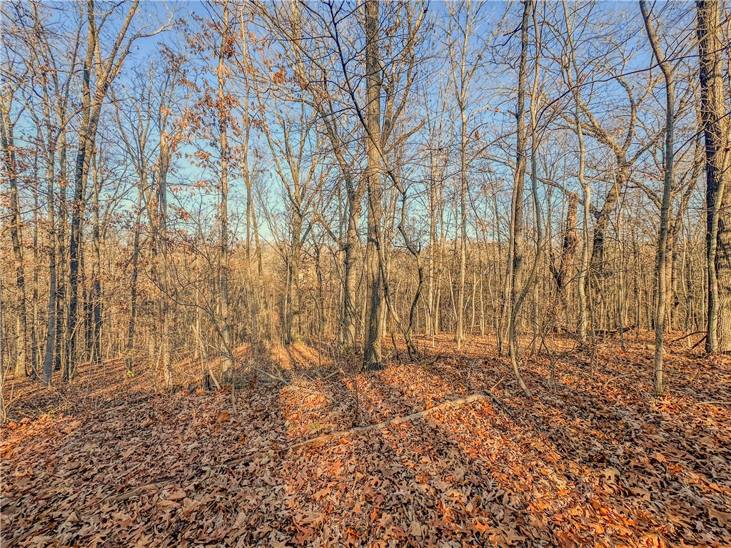 Hwy 340 West (Lancashire Blvd closeby!) 3 lots available... priced separately.... adjoining! Don't miss an opportunity to have privacy! build in the center!3 lots available..