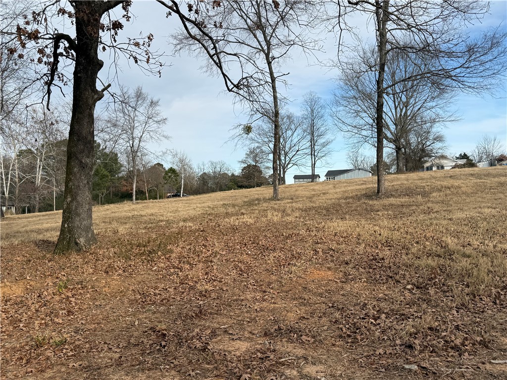 Hunt Estates - Land