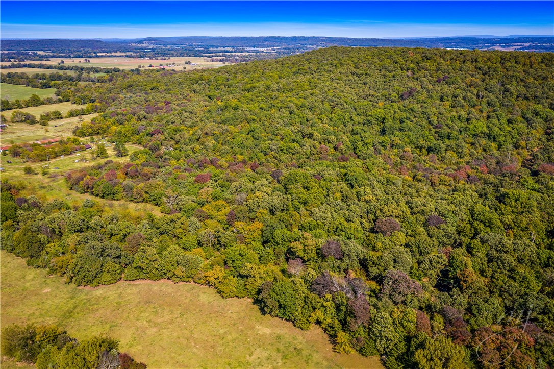 Looking to get out of the city. Perfect location to build your dream home. Gently rolling property with tons of timber that could be logged or ideal location for hunting. The possibilities are endless. Come check it out before it's gone!