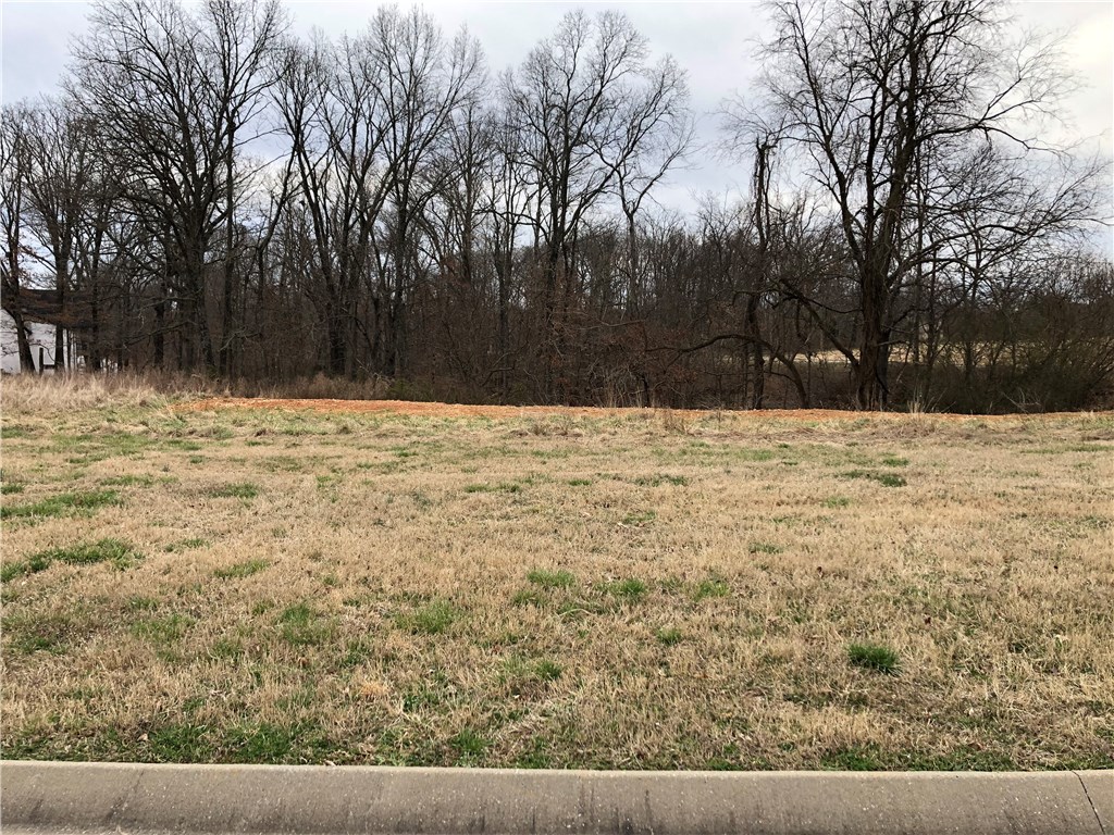 Oak Tree Centerton - Land