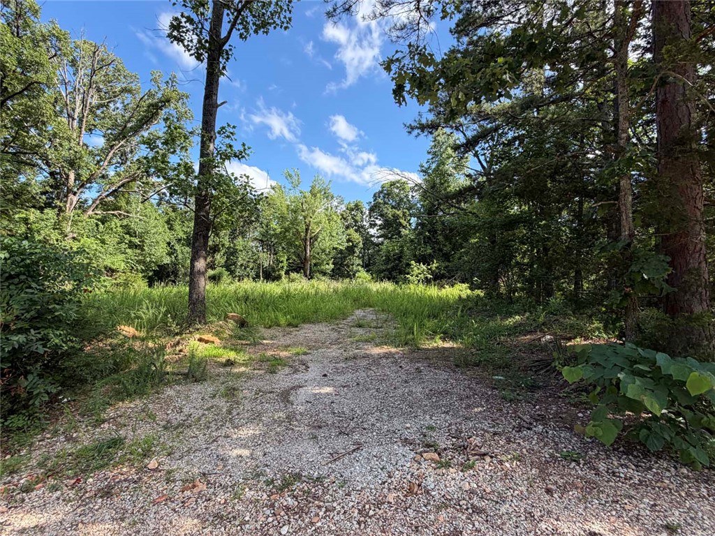Located in beautiful Jasper, Arkansas, this 1-acre lot offers a great mix of open space and natural wooded privacy. The property is part cleared and part wooded, giving you flexibility for a homesite, cabin, or recreational getaway. With easy road access and a peaceful setting, this tract is convenient while still offering the quiet Ozark feel Jasper is known for. Whether you’re looking to build, invest, or enjoy a small piece of the Buffalo River area, this property is a great opportunity in one of Newton County’s most desirable locations.
