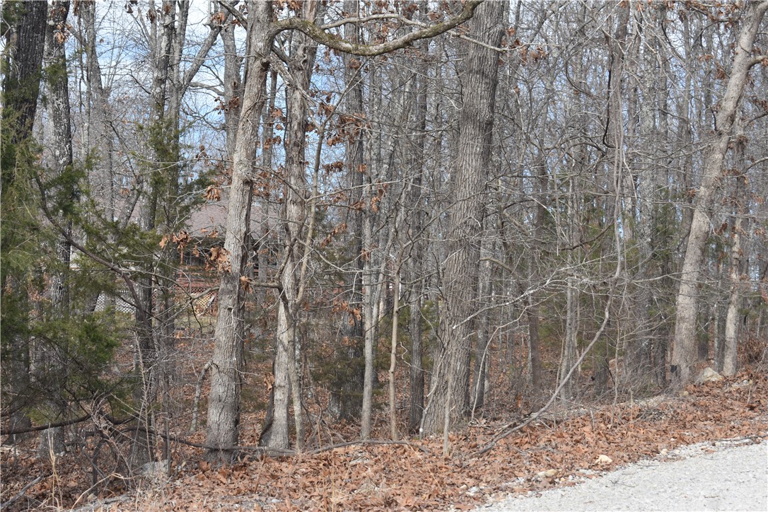 Dogwood Park 2 - Land