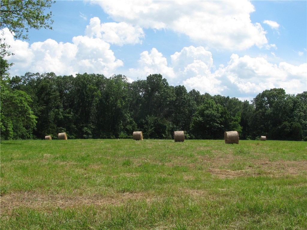 rural - Residential