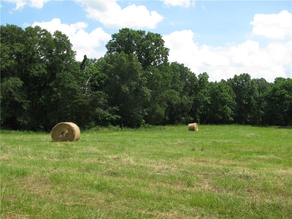rural - Residential