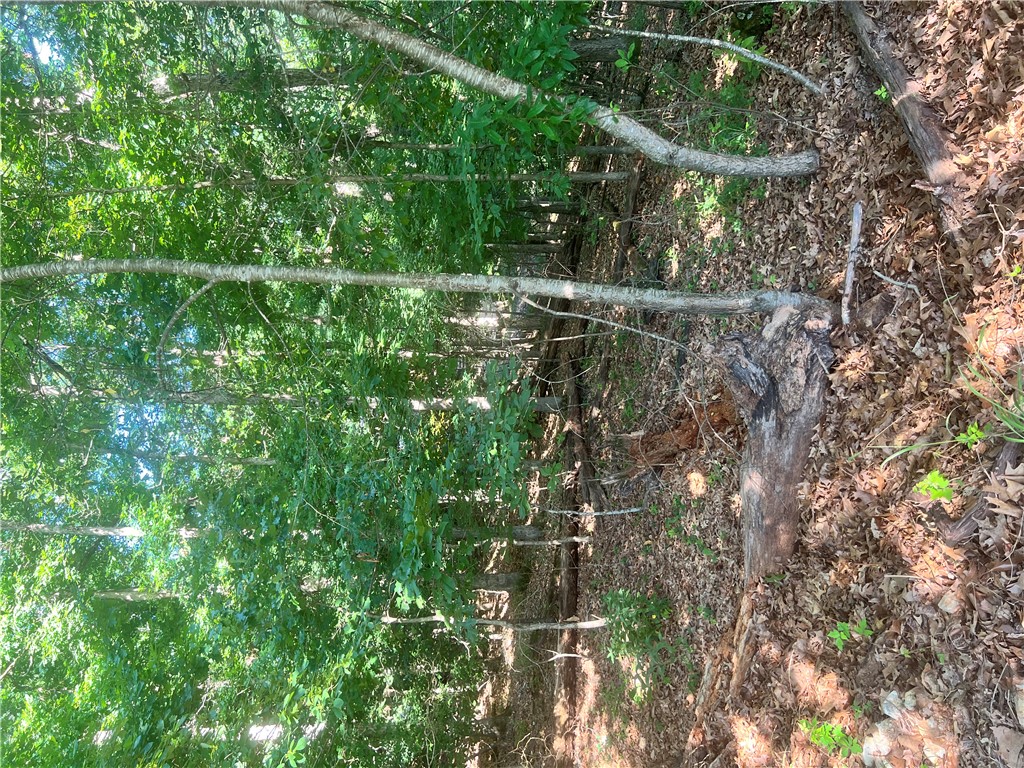 Create your custom retreat on this gently sloped lot nestled among the natural beauty of Bella Vista. Wake up to peaceful wooded surroundings and enjoy direct access to the renowned Back 40 Trail, offering miles of premier mountain biking and hiking just beyond your doorstep. 
Spend your days exploring nearby lakes, championship golf courses, parks, and scenic walking trails, all while enjoying the exceptional amenities offered through the Bella Vista POA. 
Perfectly positioned just minutes from the dining, shopping, and entertainment of Bentonville and located within the Bentonville School District, this property offers the ideal balance of privacy, and an active outdoor lifestyle in one of Northwest Arkansas' most sought-after communities.