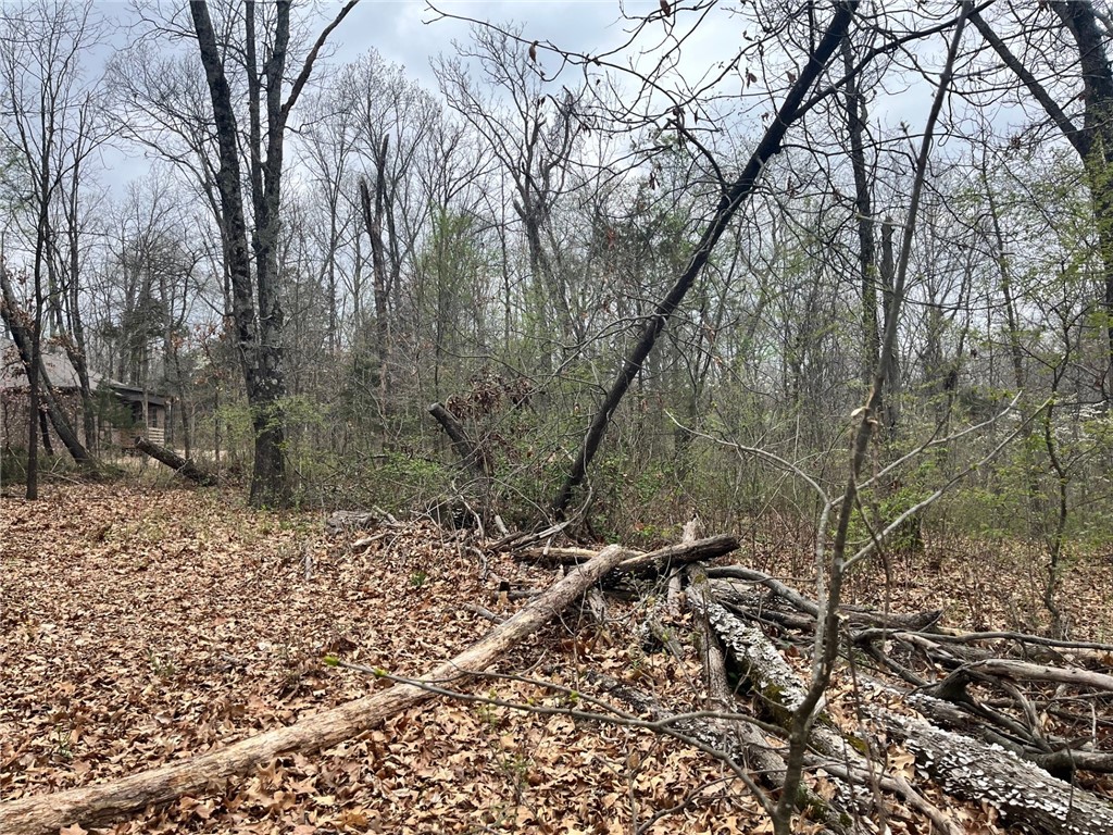 Bankfoot - Land