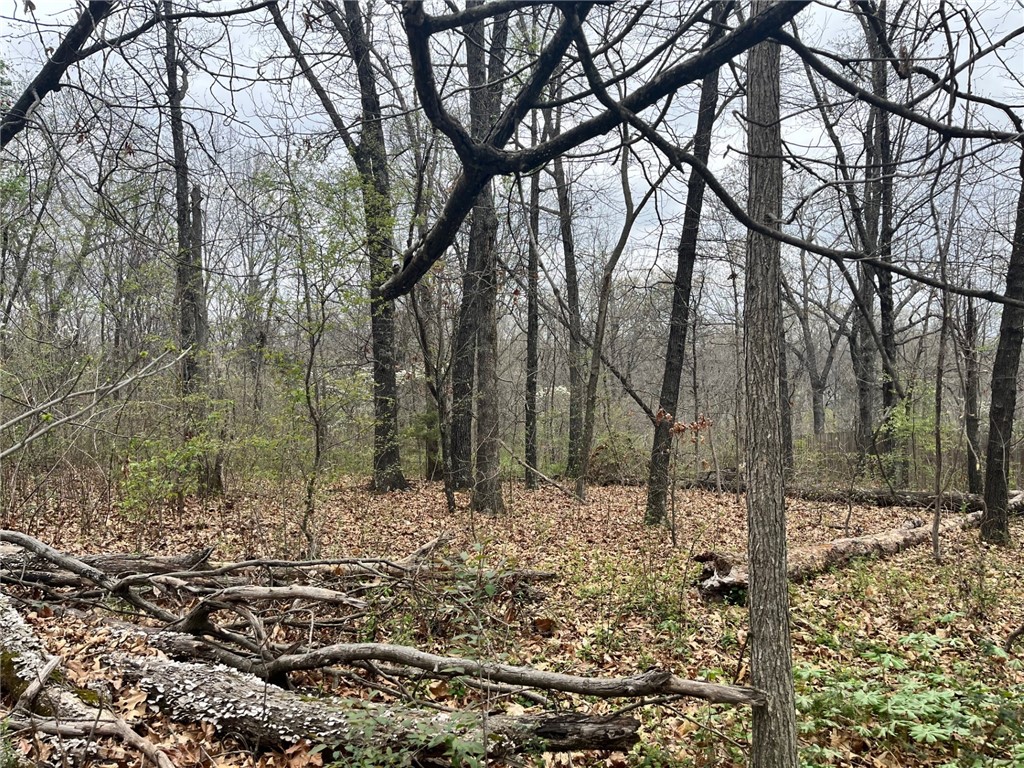 Bankfoot - Land
