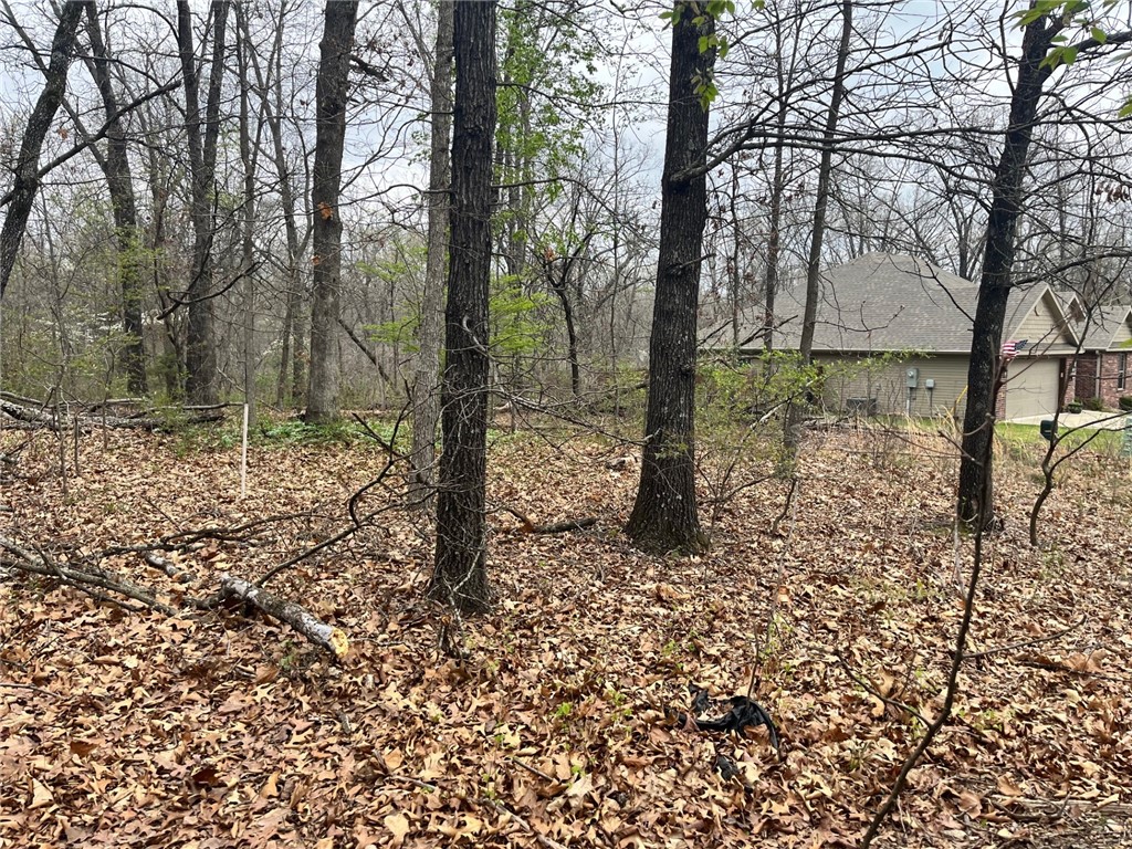 Bankfoot - Land