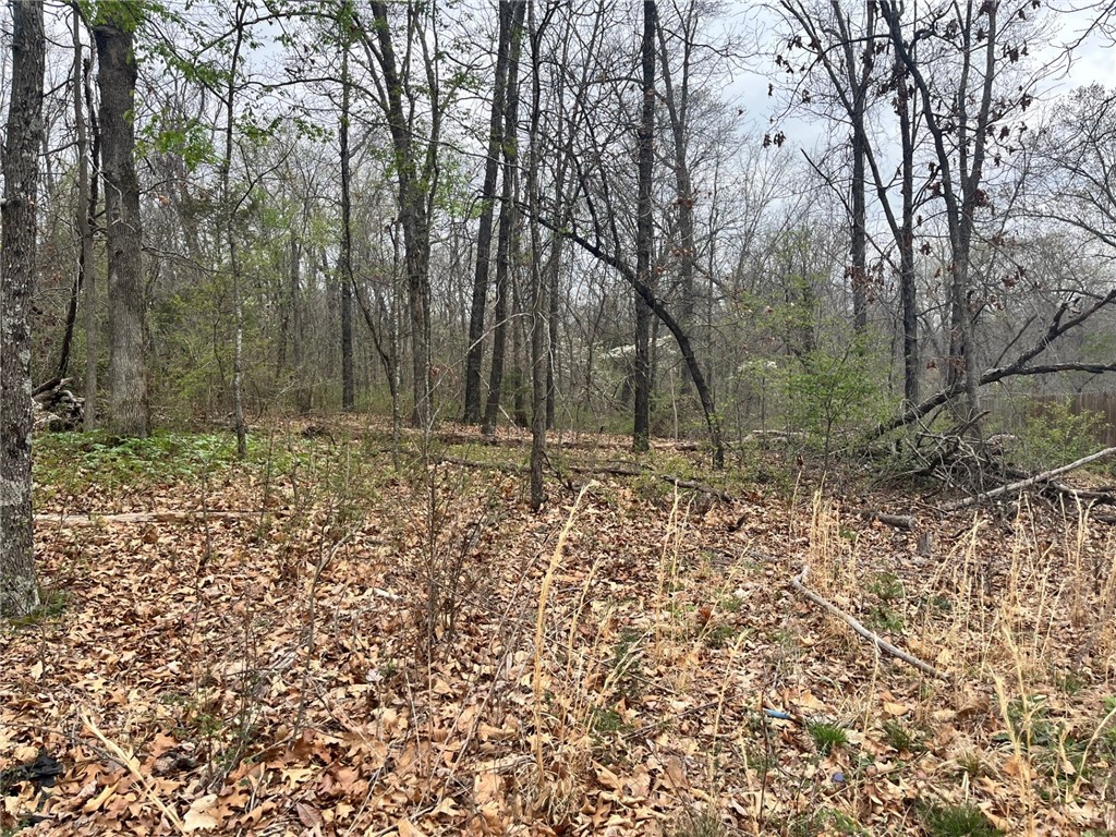Bankfoot - Land