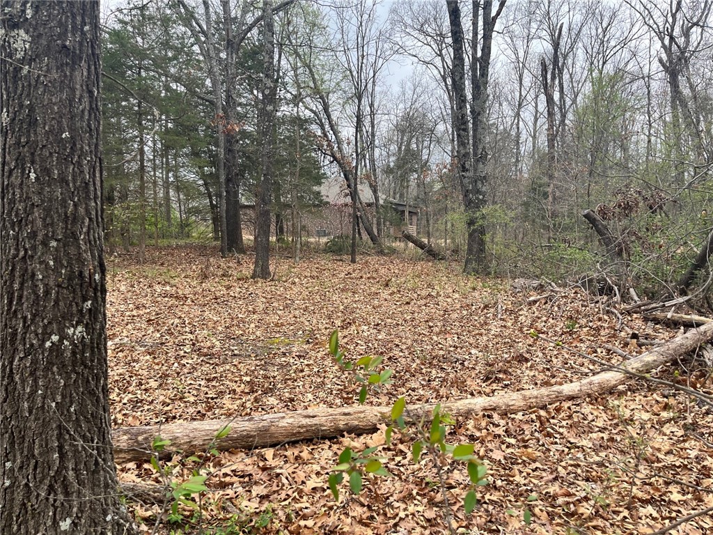 Bankfoot - Land