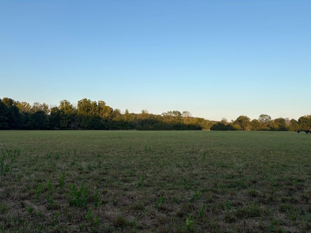 What a beautiful spot! Not far from town in a desirable area, this property is mostly cleared, and has  part of the East Fork of Crooked Creek plus Crooked Creek thru the property.  Choice scenic building sights overlooking pasture and creek. Priced at 8950.00 per acre.