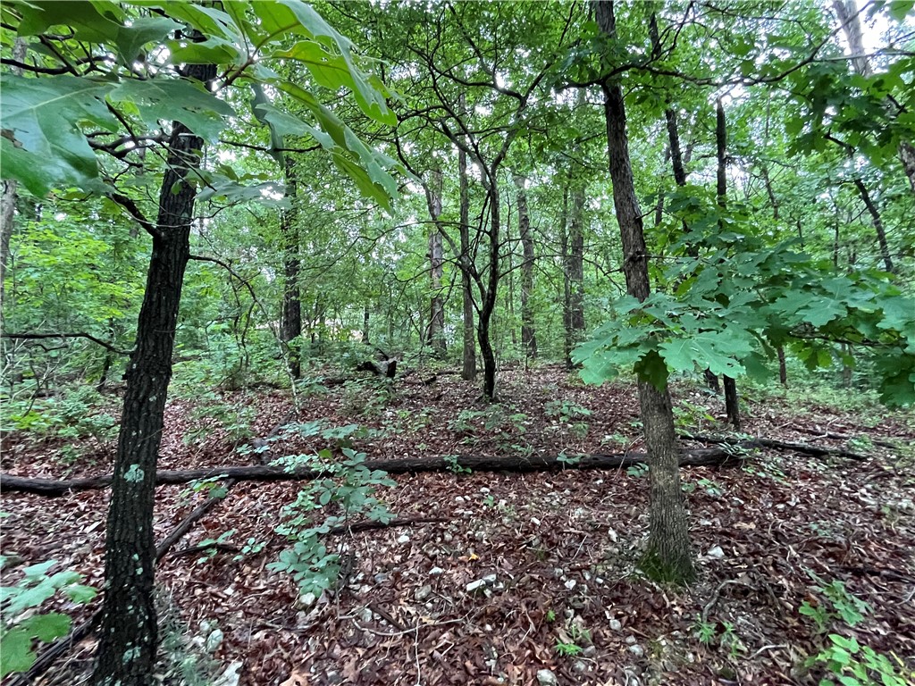Mountain Bike trails nearby (SBAT / Taylor Homestead!  .31-acre with gentle slope, perc. tested highest level for up to 3 Bedroom, SBAT trail runs on POA property behind lot.  secluded location toward beginning of cul-de-sac. Enjoy easy access to nearby golf courses, lakes, parks, and community amenities. Whether you're looking to build a primary residence, vacation getaway, or investment property, this lot offers a great combination of value, location, and recreational access. Utilities available in the area. Don't miss this chance to own an affordable piece of Bella Vista and experience everything this vibrant community has to offer!