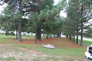 Sand Flat Est - Residential