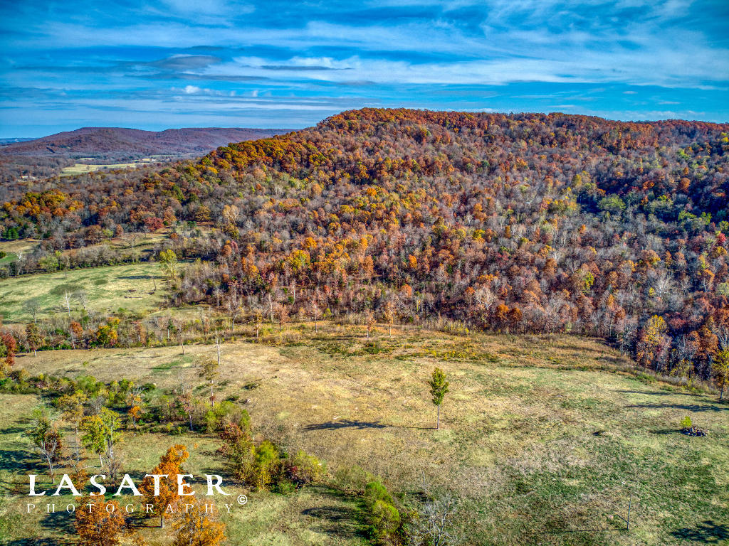 TONS of possibilities for this 150 acres of beautiful Ozark Mtn property only 3.5 miles outside of Green Forest! Sporting good pond, springs, and pipe fencing. This property would be great for running cattle and/or livestock! Land also has several excellent building sites with breathtaking views! Terrific hunting opportunities exist as well as there is bountiful mature trees & extensive wildlife all across the property including: bear, turkey, and deer!  Land would also subdivide very easily per the owner! Don't miss this opportunity to own your own private slice of the Ozarks!