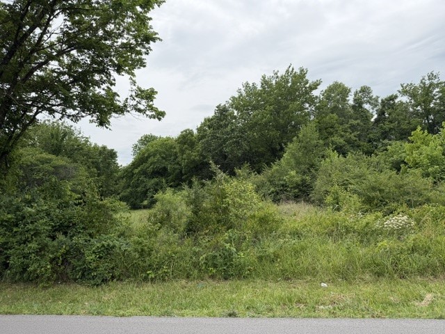 Prime R4-zoned building lot available! Perfect for duplexes or triplexes! Great investment opportunity with flexible multi-family zoning in a growing area. Builder available to build custom duplexes or triplexes for buyers wanting a turnkey investment property or income-producing development. Bring your vision and let us help make it a reality!