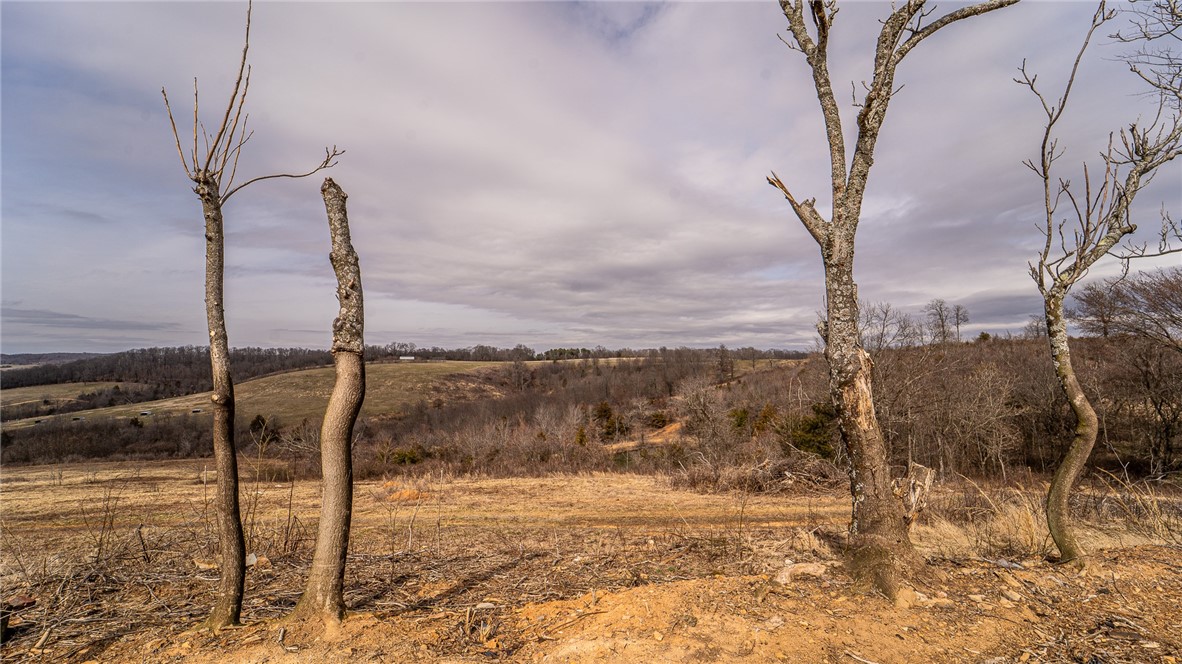 NO - Land