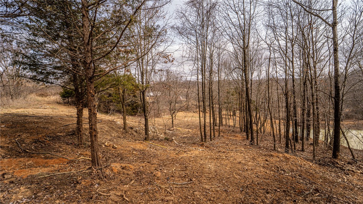 NO - Land