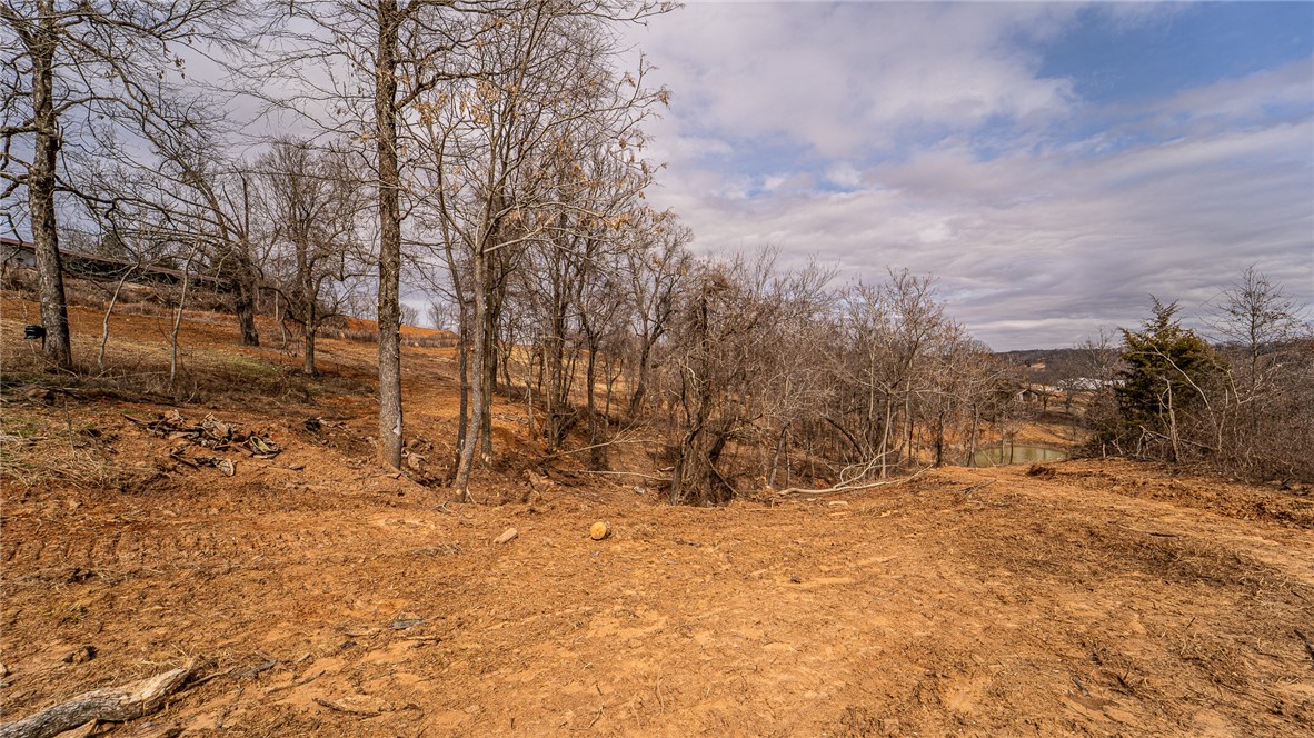 NO - Land