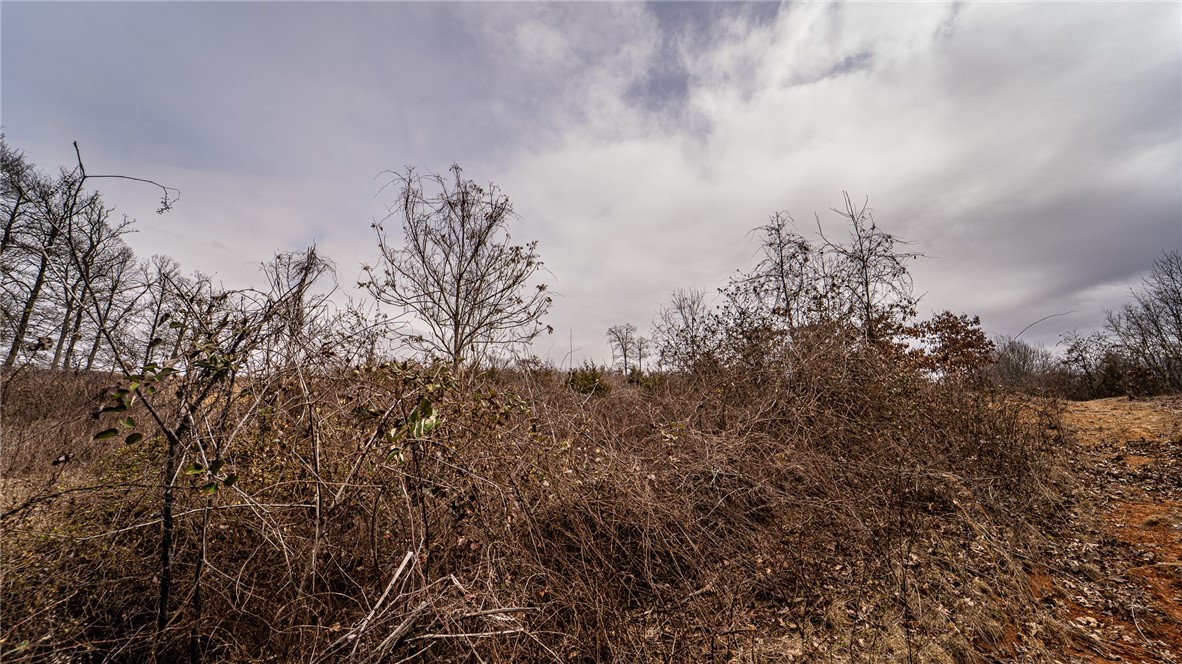 NO - Land
