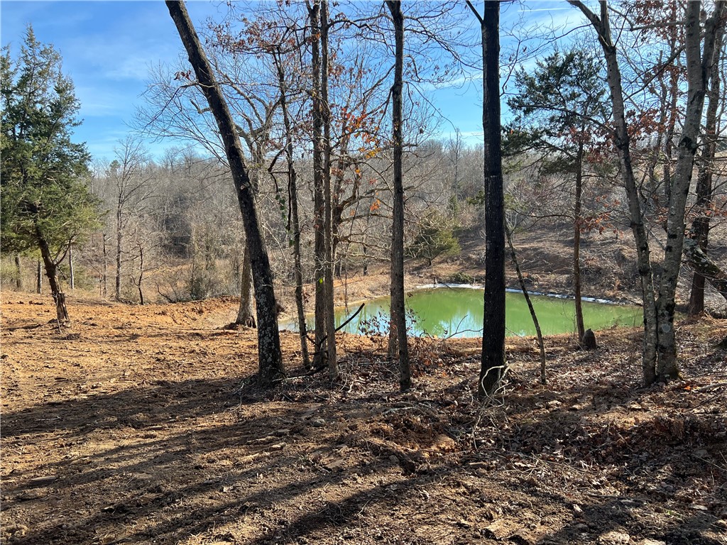 Welcome to your own slice of paradise. Nestled amidst the rolling hills overlooking Winslow, AR, this 20-acre mountain top offers a rare opportunity to build your dream home or create a serene retreat. Whether you're seeking a peaceful escape from the hustle and bustle or envisioning a picturesque homestead, this land has it all. Imagine waking up to panoramic views of the Ozark Mountains. Explore the diverse terrain-partially wooded sections provide shade and privacy while the cleared areas beckon for gardens, orchards or even a horse pasture. Property has an abundance of deer. Property has 2 ponds stocked with fish as well as a creek running along the northern boundary. There is 40x40 shop building with water and electricity. Additional buildings include a Cabin/Bunkhouse, a 12x16 storage building and a stone wellhouse.  Well Water onsite. Public water is available with Winslow Water. Electricity and internet available with Ozarks GO. The possibilities for this property are endless