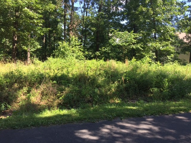 Great location. Nice level, wooded lot to build your dream home. You will love the neighborhood and less than 2 minutes to HWY 71.