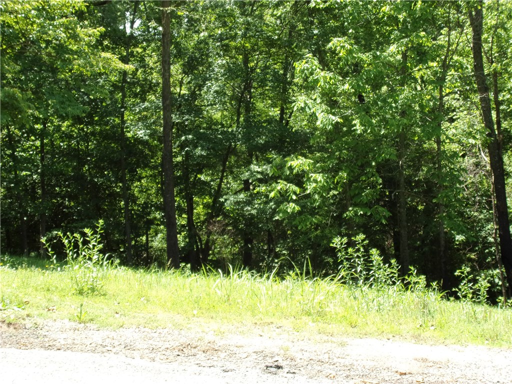5 nice lots in small subdivision on Beaver Lake near Springdale. Cleared and ready for you to build that new home that you have always wanted. Access easement and 1 slip in private boat dock.