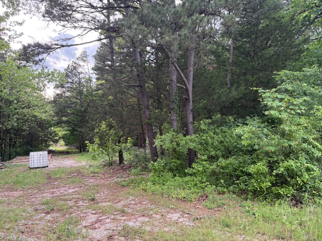 2 lots, to be purchased together in Omaha on Old Highway 65.