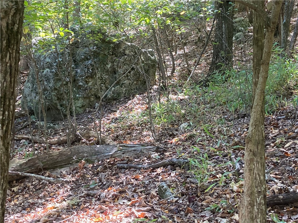 Lost Bridge Village Rurban - Land