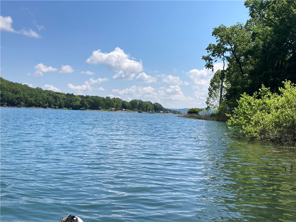Two lovely contiguous lakefront lots on Beaver Lake with ALL UTILITIES at the road!  Come and build your vacation or dream home in Lost Bridge Village about 30 minutes from Rogers.  Amenities include tennis courts, a boat ramp, clubhouse playground and library.  Enjoy peace and quiet in this established lake community. With beautiful rock outcroppings, mature trees and a convenient walk to the shore for fishing or kayaking fun; how many memories could your family make here?