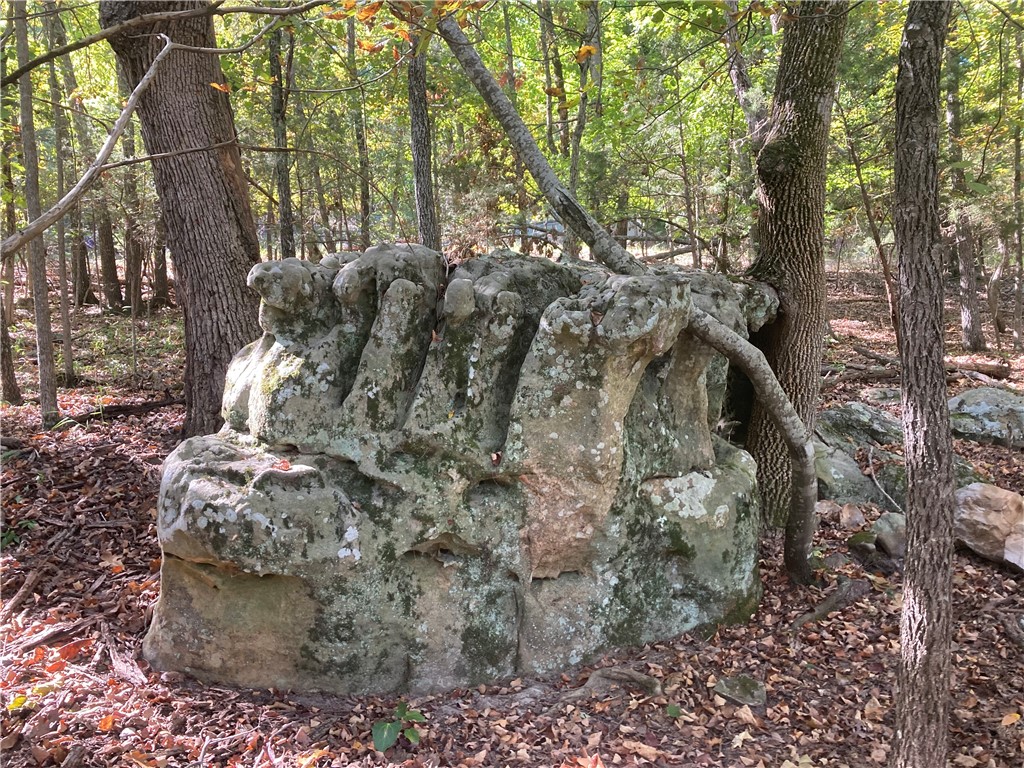 Lost Bridge Village Rurban - Land