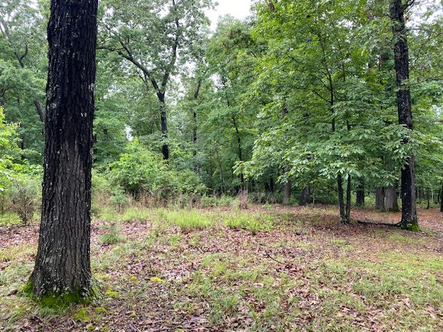 Rare opportunity to own lake front property in town: Enjoy seasonal lake views from the partial cleared lot located in Bull Shoals joining thegovernment strip green belt area of Bull Shoals Lake. You can walk to water through govt. land with a great building site for your dream home inlakeside subdivision of Woodstone. City utilities and high-speed internet available. Lake marina and lake access is five minutes away. WhiteRiver trout fishing is a couple miles away.