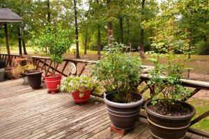 Spring Creek Estates - Residential