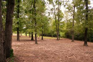Spring Creek Estates - Residential