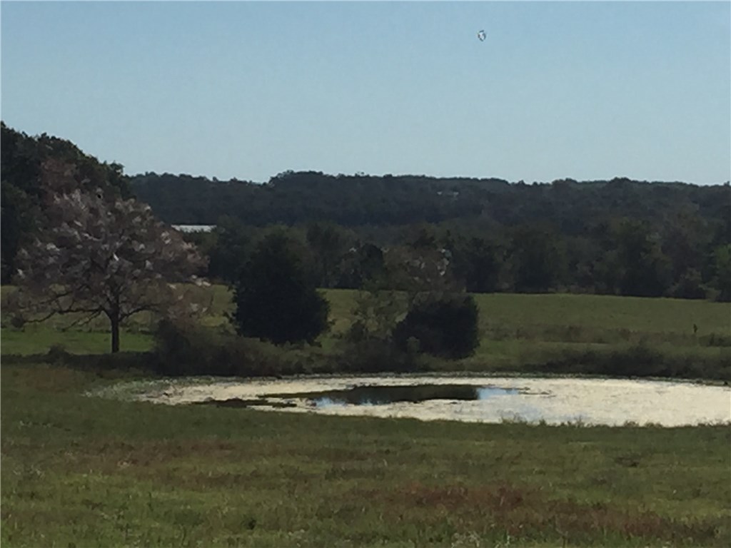 Rural - Land