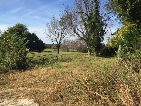 Rural - Land