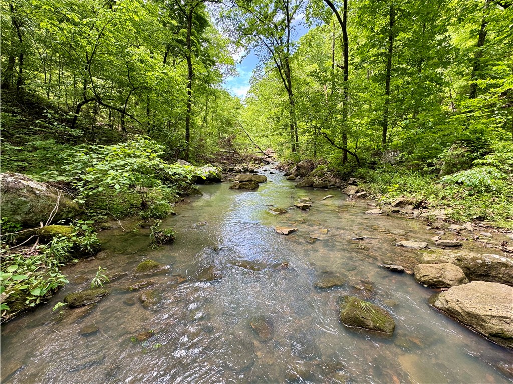Recreational acreage in Crawford County, AR, adjoining the Ozark St. Francis National Forest. Features include gated access, ATV and UTV trails, hardwood timber, and an all-metal cabin for shelter. The property supports hunting and outdoor use with multiple stands and food plot locations. Located along Hwy 59 between Fort Smith and Fayetteville.