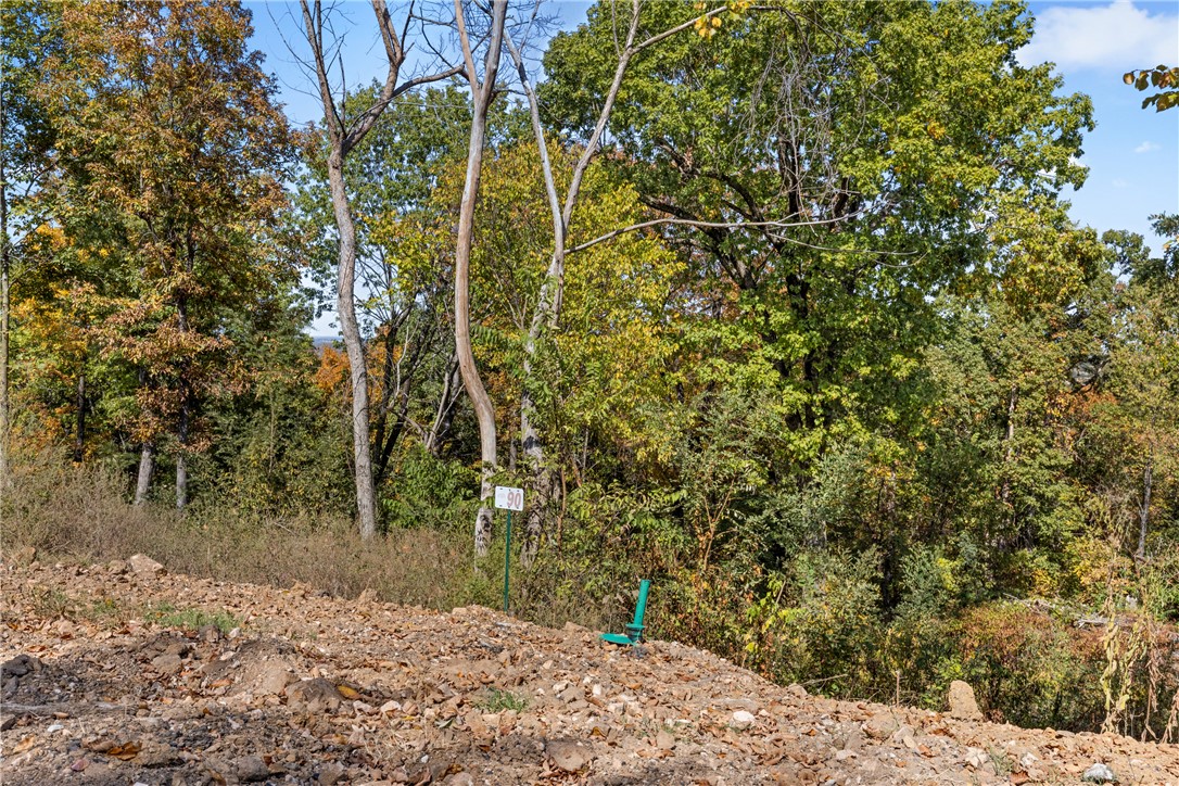 Round Mountain Estates - Land