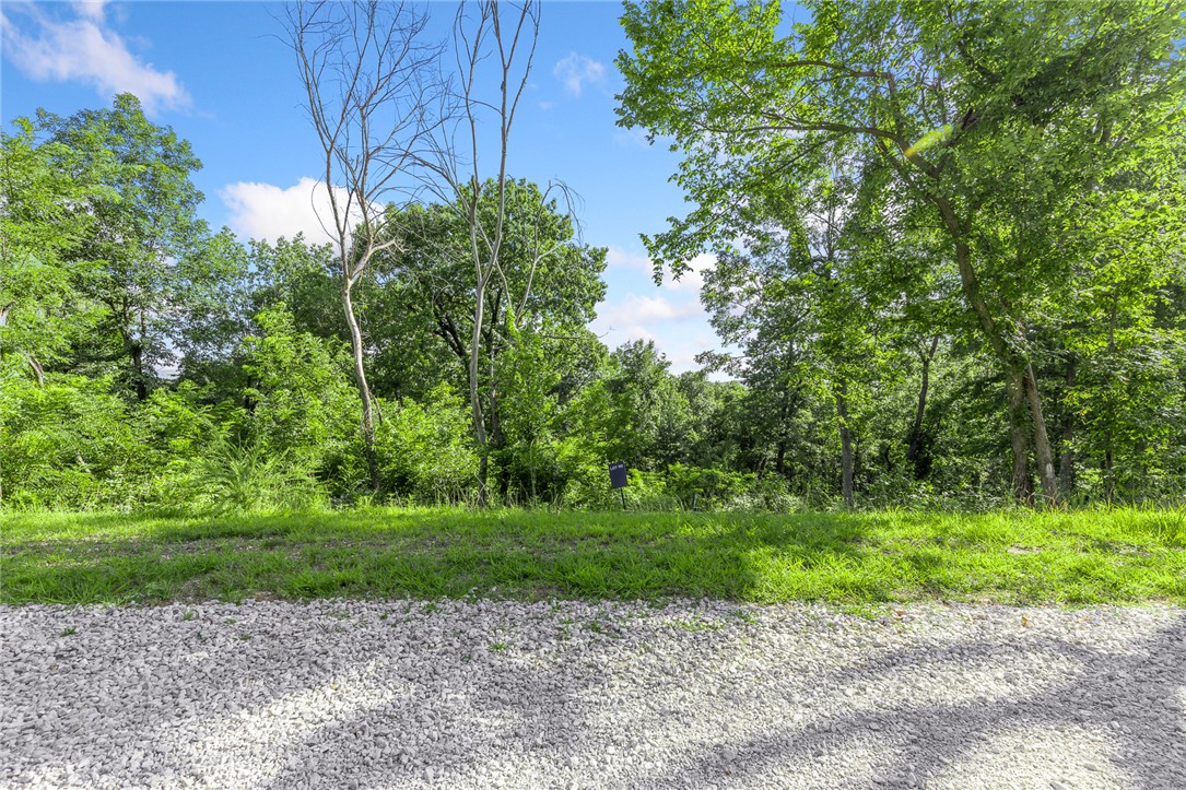 The groundwork is already done for you!  This lot comes fully equipped with underground utilities already in place, including natural gas, fiber optic internet, electric, public water, and sewer. No waiting, no guesswork, no costly setup—just a smooth, ready-to-build opportunity from day one.  Lot 90 (0.60 m/l ac) of Round Mountain Estates is a wooded lot that sits on the lower section of the development. Restore Ridge provides the seclusion you have been wanting. RME is the newest subdivision in Harrison, AR. If you’ve been dreaming of trading city lights for star-filled skies, RME delivers. Beyond your homesite, you’ll have access to a 350 acre common area reserved for residents, featuring a stocked fishing pond, Kissing Rock Trail, natural springs, Baby Canyon Trail, striking bluff lines and views that stretch for miles.  *Terrapin Creek Rd will be paved in the future, per county officials.