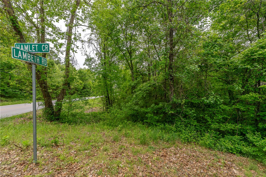 Relatively flat Sewer Lot on the corner off Lambeth. Near Blowing Springs Park, Mountain Biking Trails and New Oz Trails bike park is less than one mile away.