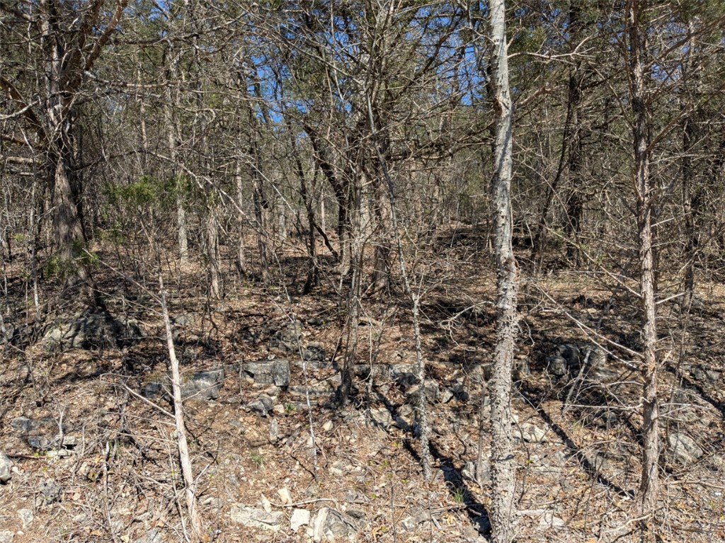 Unit 5 Holiday Island - Land