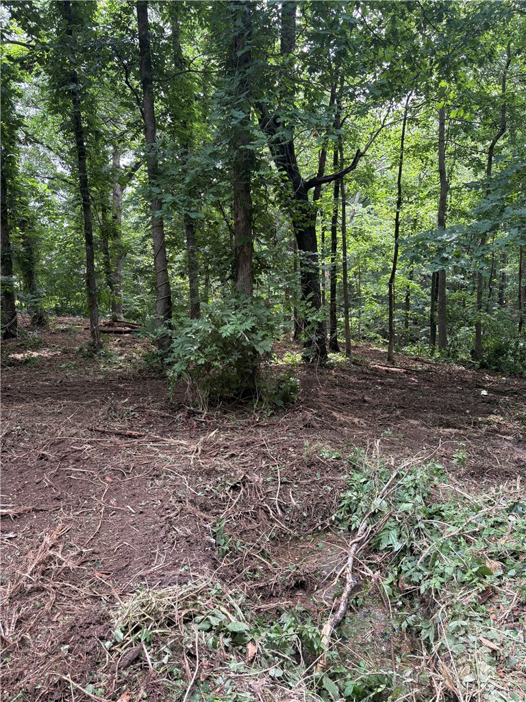 Build your dream home on this beautiful 0.45-acre lot in Bella Vista! Recently cleared of underbrush, Lot 2 Holme Lane showcases its mostly level terrain with a gentle slope—making it easy to envision your future home. Located just seconds from the renowned Back 40 Trail System and only 5 minutes from Bella Vista Town Center, you'll enjoy convenient access to shopping, dining, and everyday essentials. As a Bella Vista resident, take advantage of incredible amenities including lakes, golf courses, swimming pools, tennis & pickleball courts, a shooting range, parks, and miles of scenic trails. This is the perfect opportunity to build in one of Northwest Arkansas' most desirable outdoor communities.