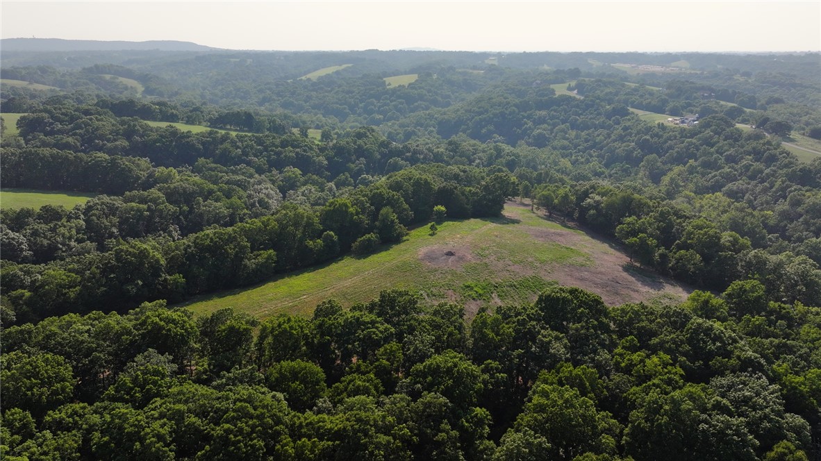 Lakeshore Farms at Nelson Hollow - Land