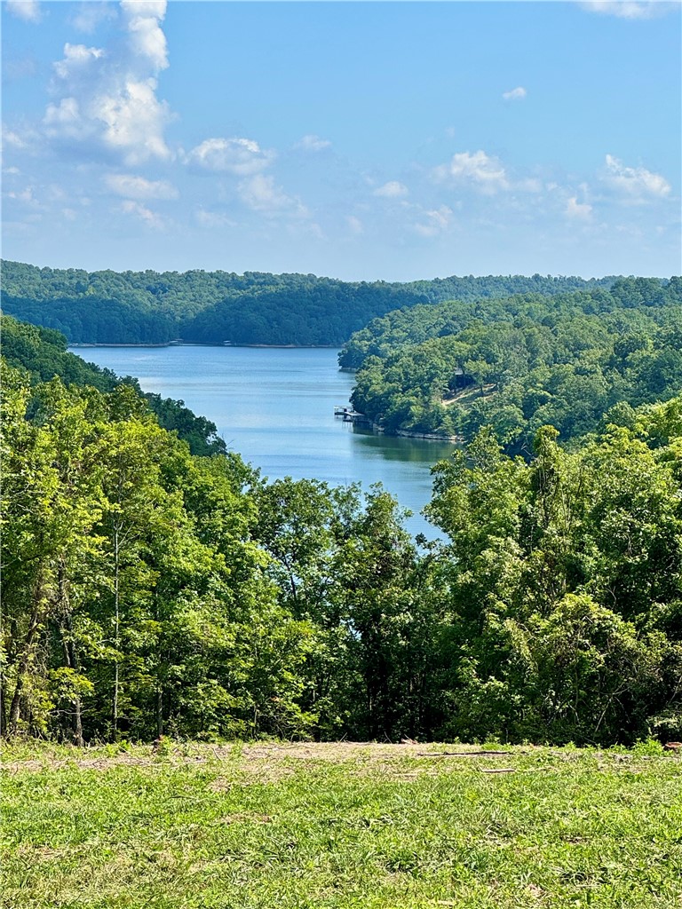 Lakeshore Farms at Nelson Hollow - Land