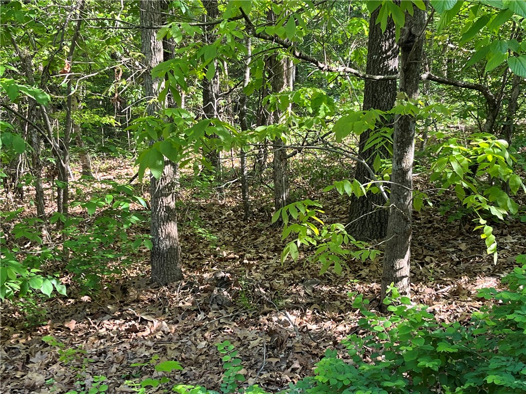 Lot in the heart of mountain biking trails! Nearby trails Tunnel Vision & Technical Difficulty.  Level .32-acre lot, Perc Tested for up to 3-bedroom home, Easy access to Hwy 71 only .6-miles away, Multiple Retail establishments .8 miles away, Bentonville School District,, Bella Vista Country Club / Golf Course 1.6-miles away,  Lake Avalon & Lake Windsor nearby, Enjoy Amenities of Bella Vista POA Lot monthly fee $16 - allows access to (7) Lakes, (6) Golf Courses, (2) Outdoors Swimming Pools, (1) Indoors Swimming Pool, (3) Workout Centers, Tennis Courts, Pickleball Courts, Disc Golf, Gun Range, Golf Driving Range, Walking Trails, 100 Miles of Mountain Biking Trails, (1) Sandy Beach, Pro Golf Shops, Fishing Docks, and much more.