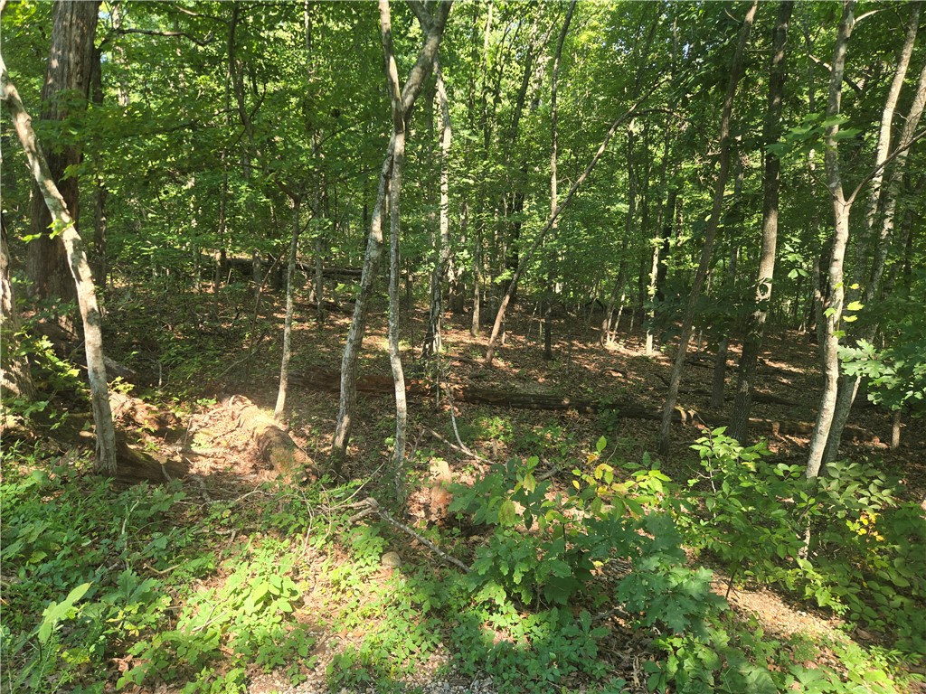 SW Bella Vista lot in Bentonville school district. Get your part of Bella Vista living and amenities! Down Under Loop just down the street.