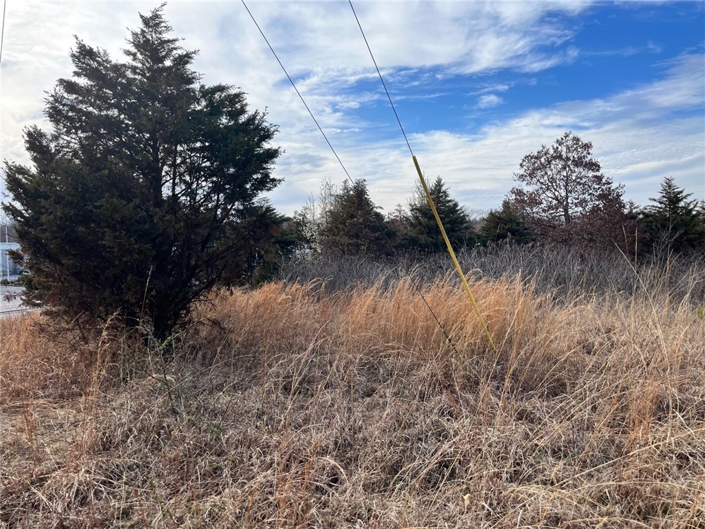 .26 acres near Dog Wood and Brittney golf courses Metfield Recreation Area gently sloping lot neat every thing Bella Vista has to offer only minutes from the highway.