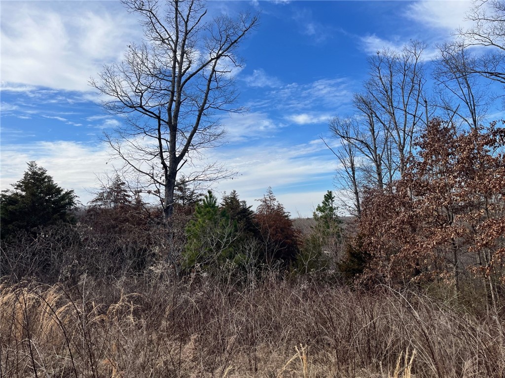 Harrington - Land