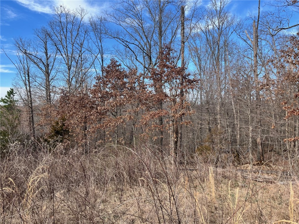 Harrington - Land