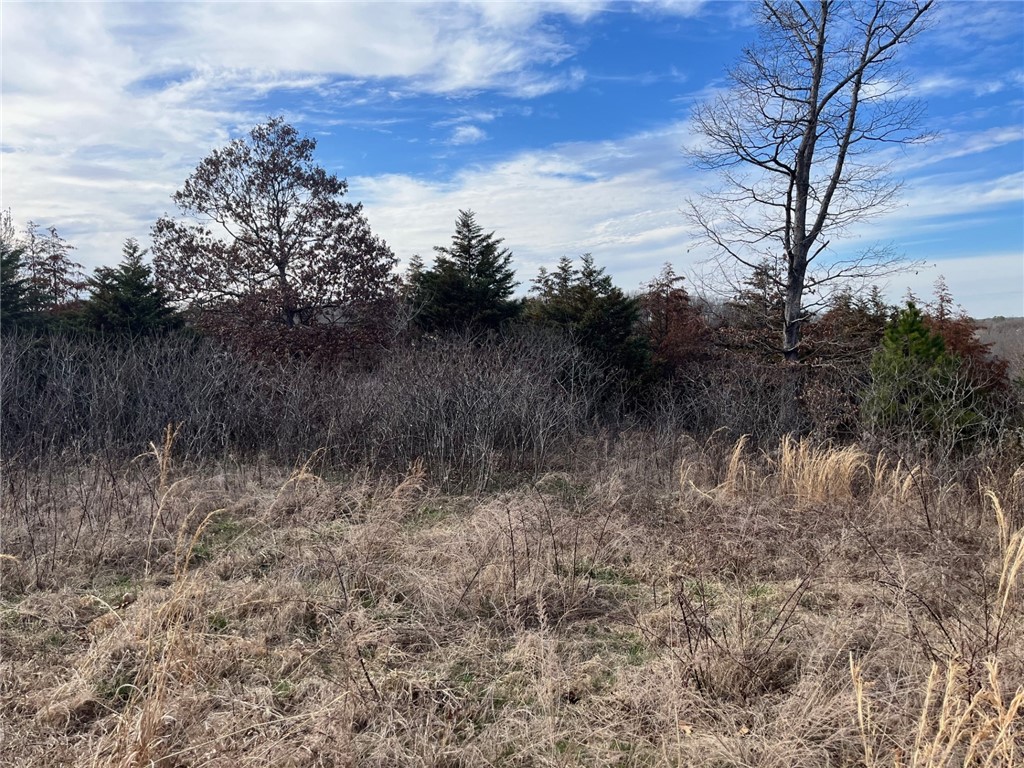 Harrington - Land